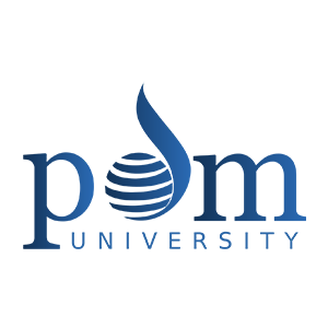 PDM University, Bahadurgarh, Delhi NCR